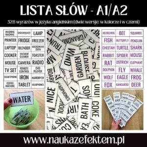 Słownik A1/A2 - lista 528 wyrazów w języku angielskim