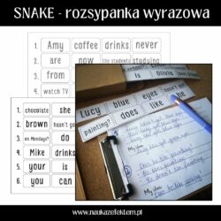 SNAKE - rozsypanki wyrazowe